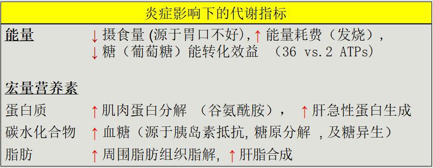 蕭宏宇2.jpg