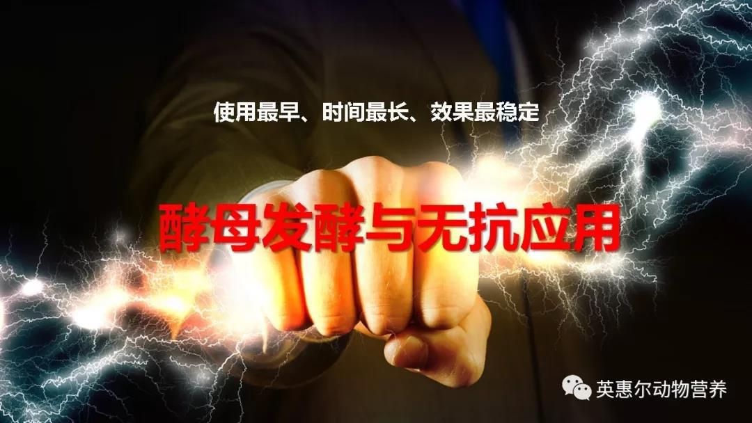 微信圖片_20191218085737.jpg