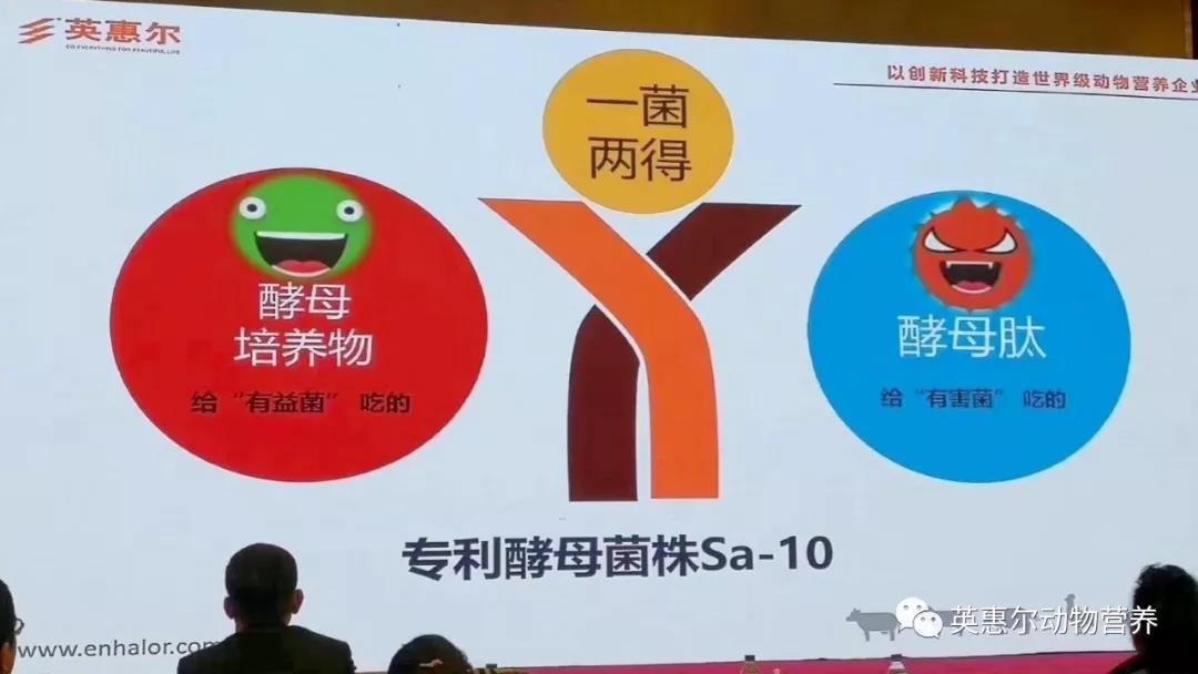 微信圖片_20191218085740.jpg