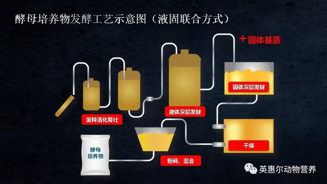 微信圖片_20191218085759.jpg