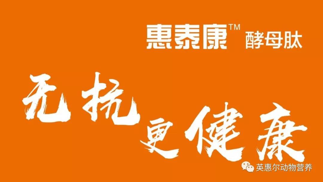 微信圖片_20191218085902.jpg